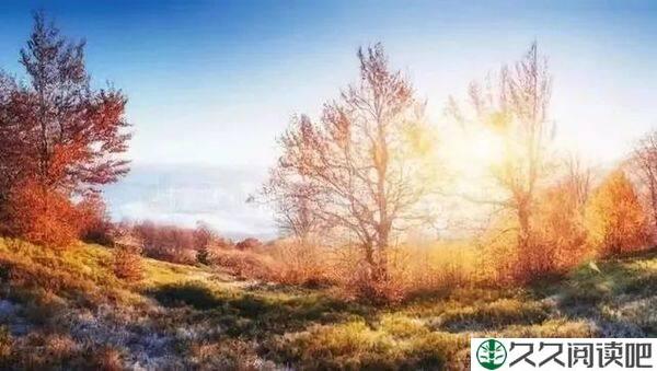 9个哲理小故事，感悟很深
