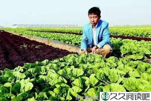 不会被打翻这个山东农民年入4.8亿，把菜卖到了迪拜，被马云邀请进湖畔大学负重才