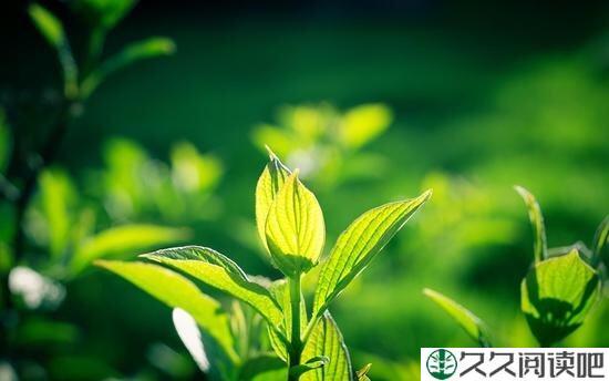 四个方法，看透一个人是否值得深交