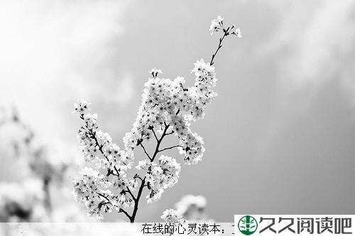长达一分钟的初恋