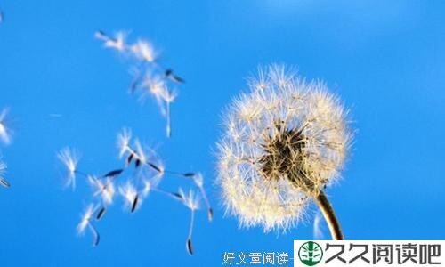 票深度好文负重才不会被打翻天堂的