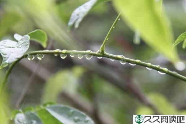 怕抿嘴菩萨林清玄：自心清净，能断烦恼民间老