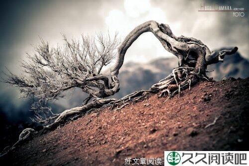 小时候的冰棍