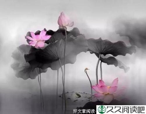 让你强大的是放下，让你淡泊的是失去