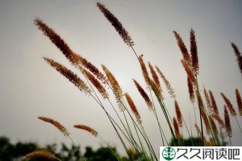 只要有家可以思念