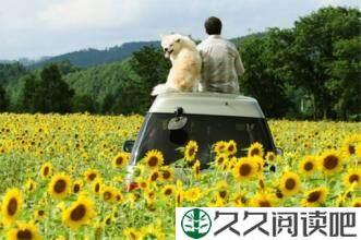 先让自己成为一朵花