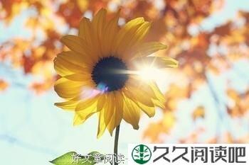 活在当下，不必羡慕他人