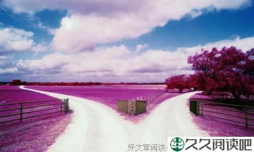 第N条道路