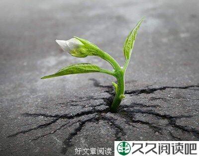 你若顽强到底 一切皆有可能