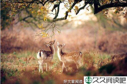百味人生须百悟