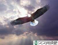 眼力的区别