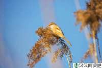 伺候太后不容易