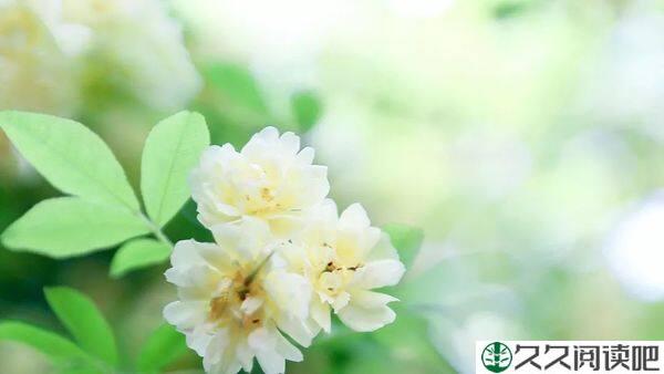 宽心（深度好文）