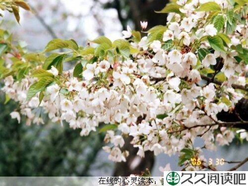 留一些空间给自己
