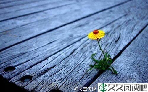路，没有错，错的只是选择