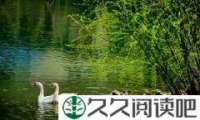 幸福很简单