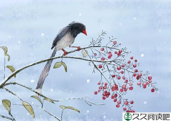 庄子笔下的三只鸟，人生三种大境界