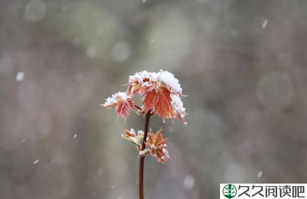 愿人生岁月，知足者常乐