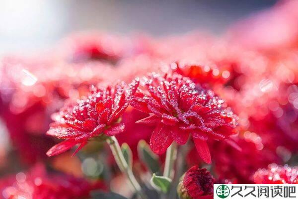 2022，与幸福同行，与爱相随
