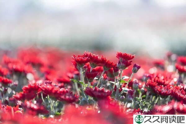 2022，与幸福同行，与爱相随