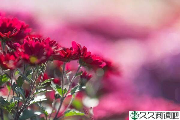 2022，与幸福同行，与爱相随