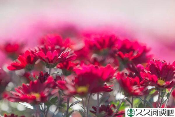 2022，与幸福同行，与爱相随