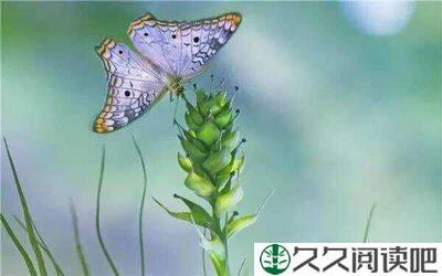 让生命化蛹为蝶