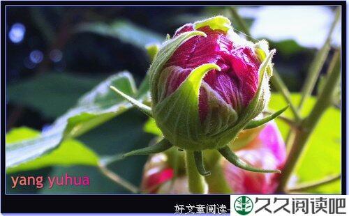 清静，万般皆自在