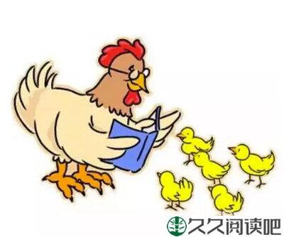 散养的孩子和散养的鸡