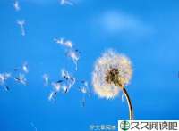 希望不灭，幸福长存