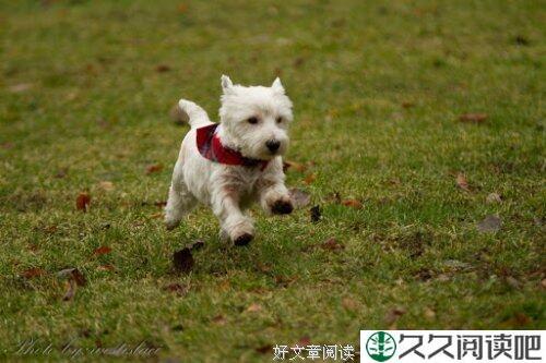 邓亚萍：“总能为自己找到行的理由”