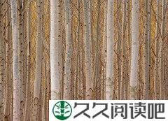 马云成功之道: 成功源于简单