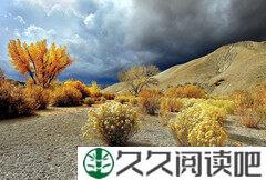 挖掘你的全潜力