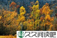 每一个草根都通往春天
