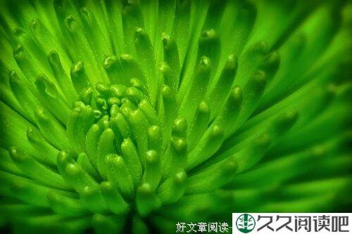 父亲的两则故事