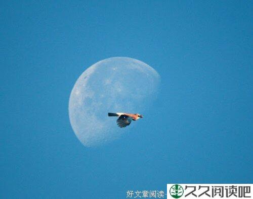 好脆弱的情啊
