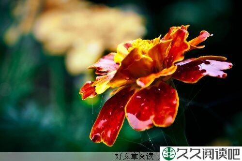 幸福生活，你我共享
