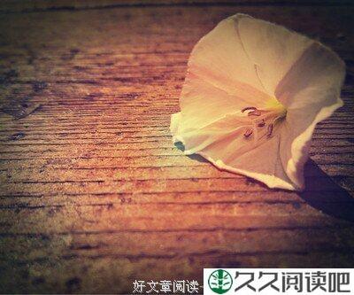句句是上品