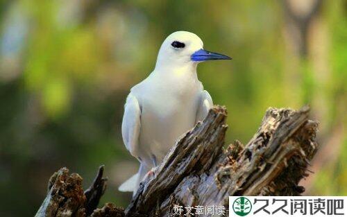 朋友