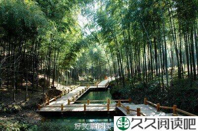过独木桥的方法