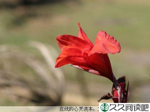 心情好，一切都好