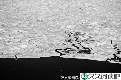 只记花开不记年