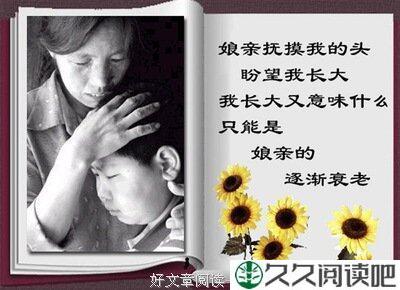 一只狐狸的母爱