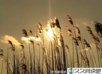 忆家深重，归去为伊
