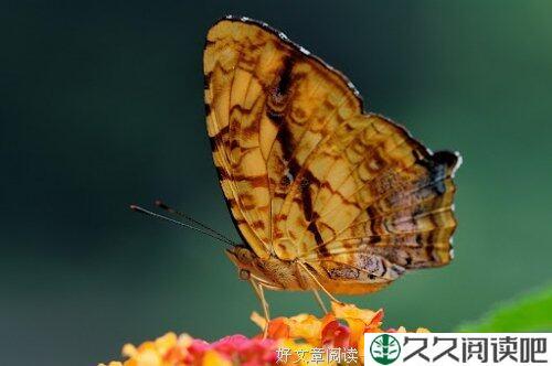 你离开时我哭了，放手时我懂了