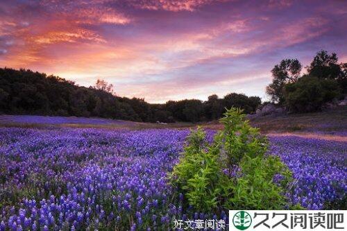 与时间拔河