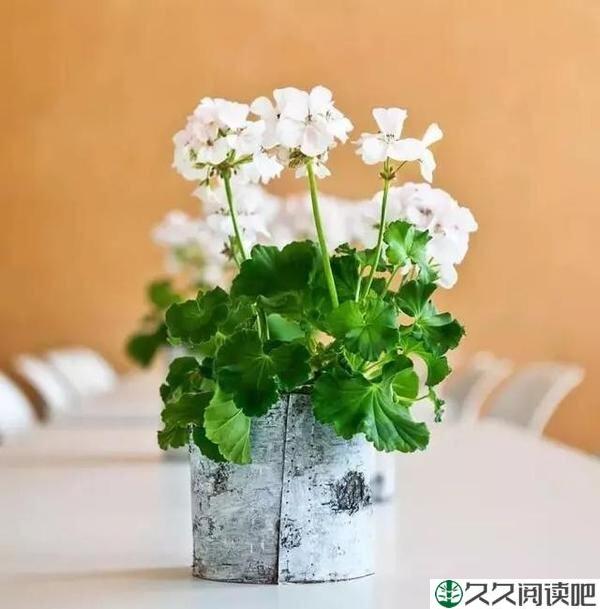 糊涂，是治愈一切的良药！（深度好文）