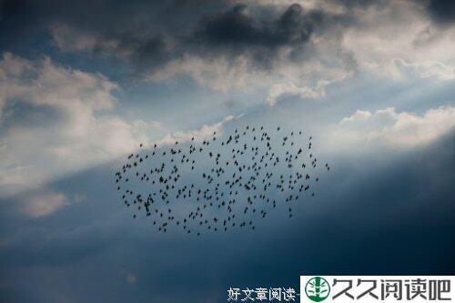 有束花，开在你的坟头