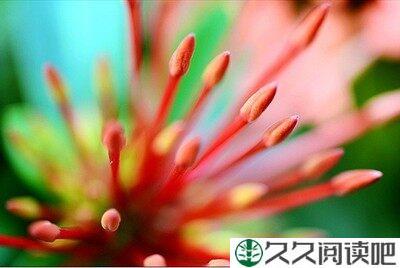走不散的情