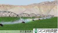 看准了就干，没有失败